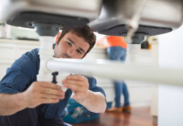 Best Local Plumber Services  in Camn, DE